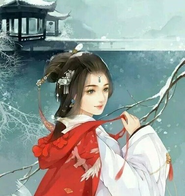 澳门免费资料大全集